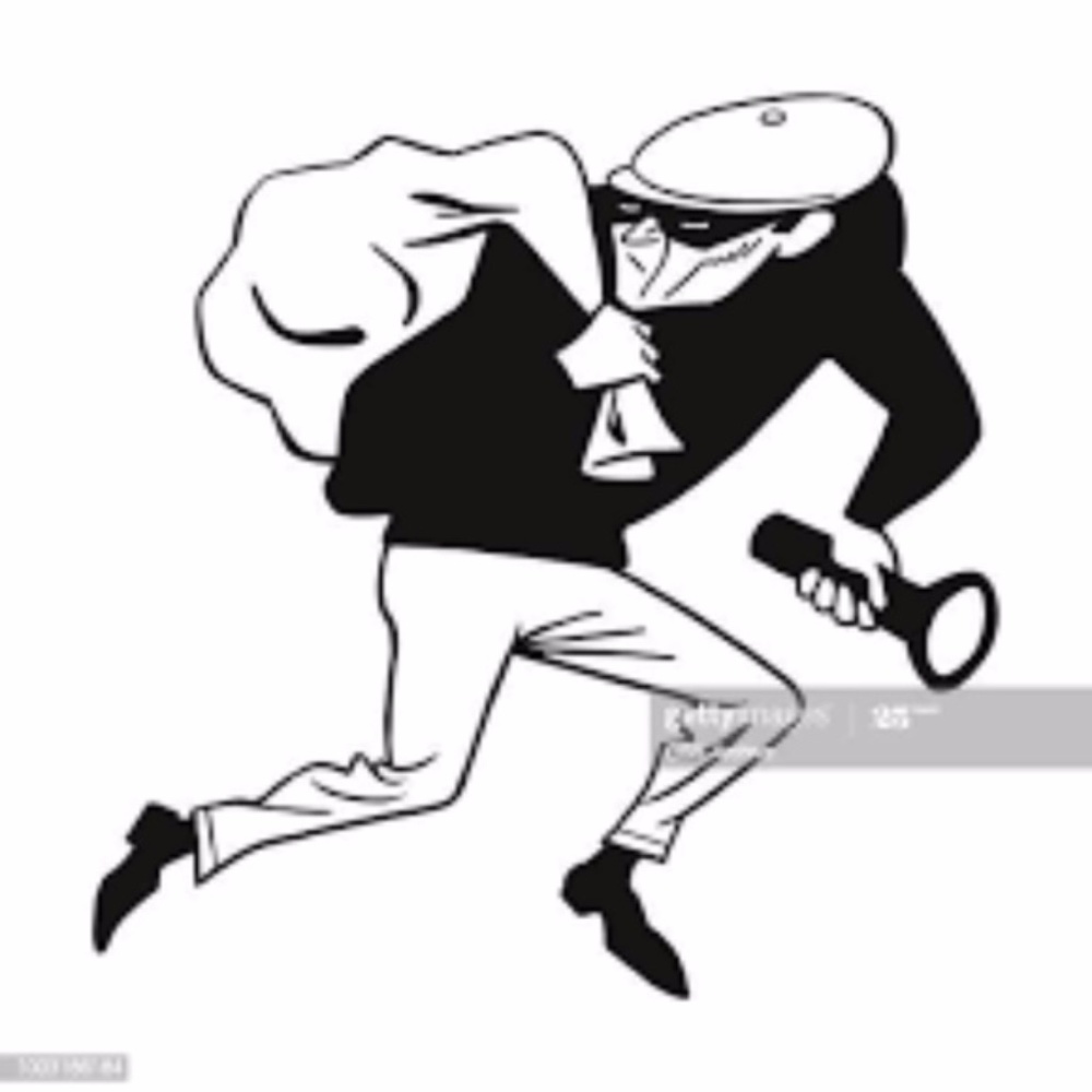 Announcing our acquisition  of "The Jewel Thief"